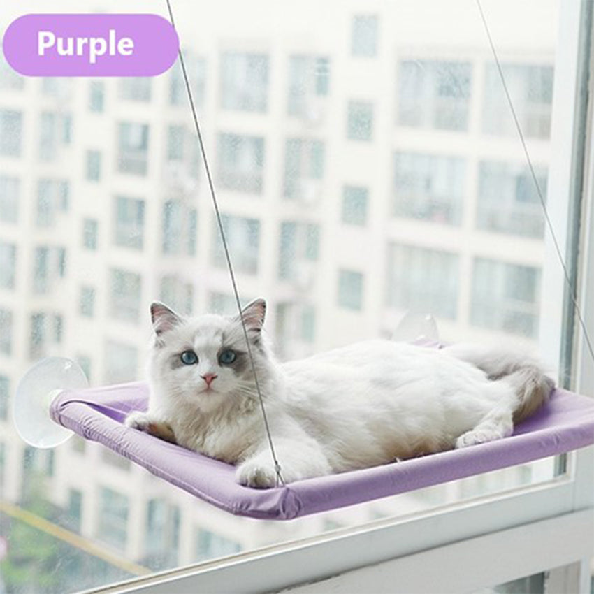 Indoor Hanging Glass Pet Hammock