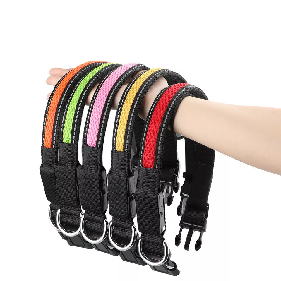 Nylon Collar USB Drive