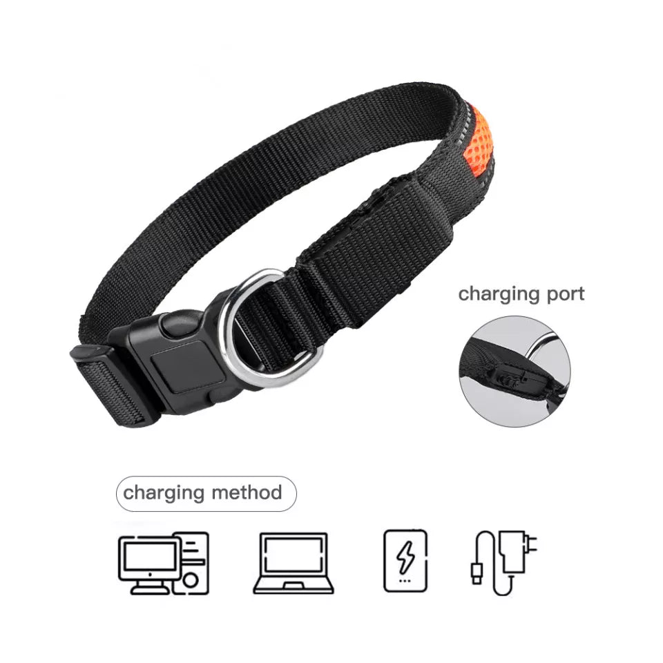 Nylon Collar USB Drive