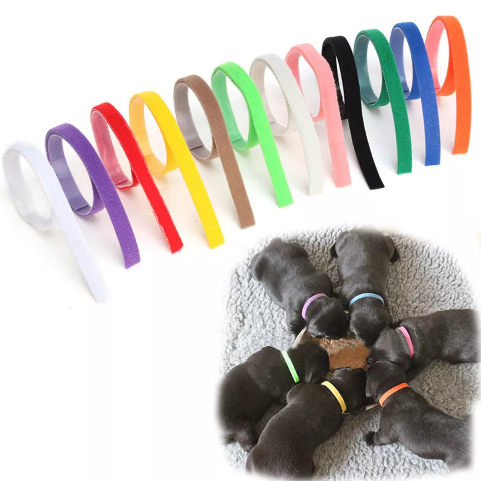 Pastel Dog Collar Set
