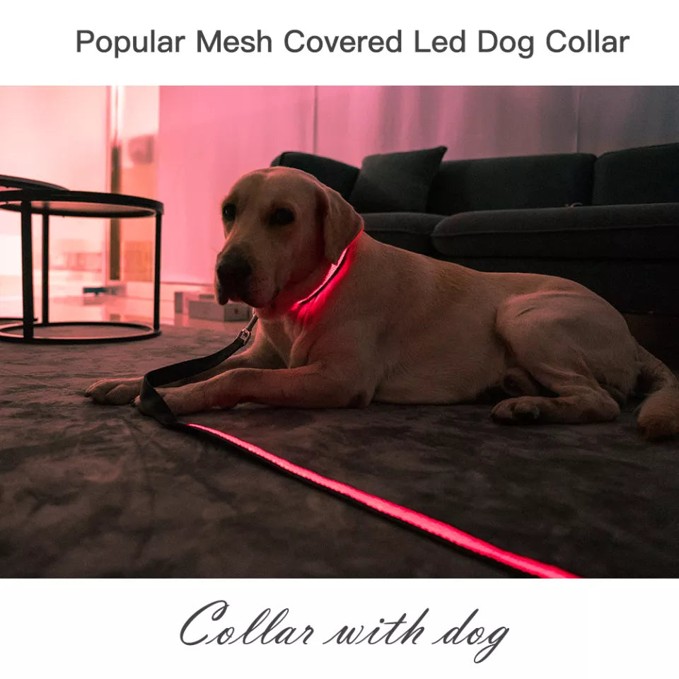 Nylon Collar USB Drive