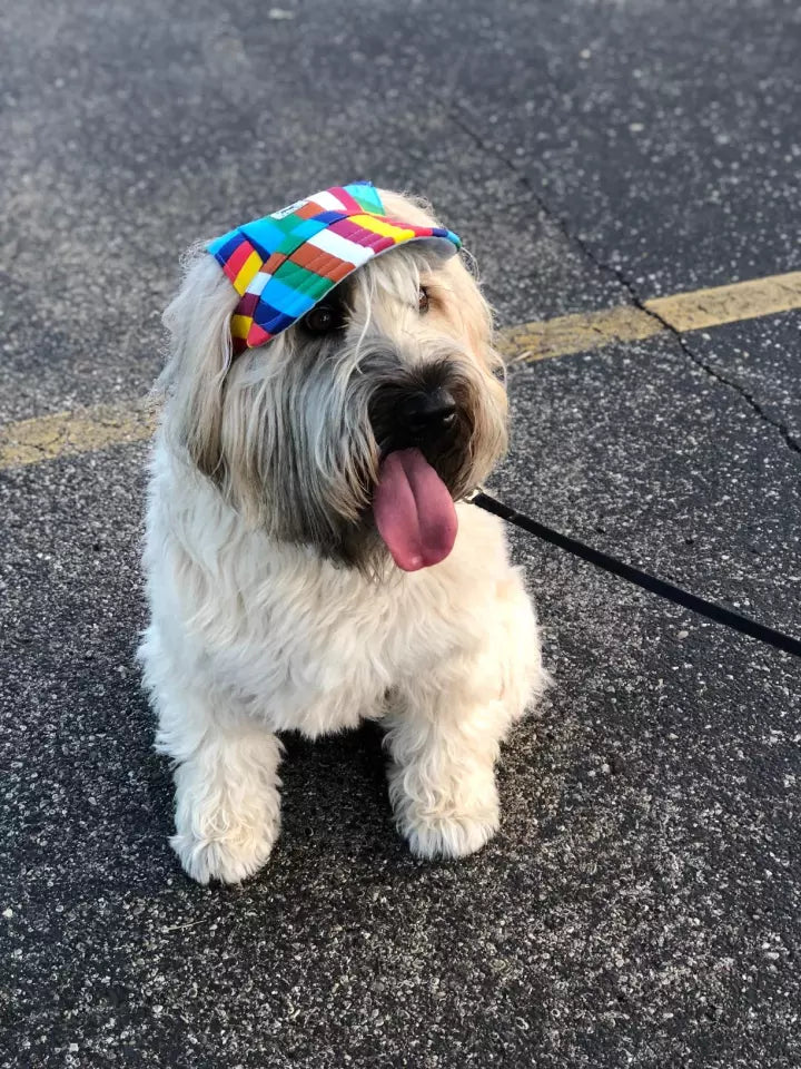 Dog Hat Summer shade puppy hats Cat  hat Visor Cap With Ear Holes Pet Products Outdoor Accessories Sun Hat