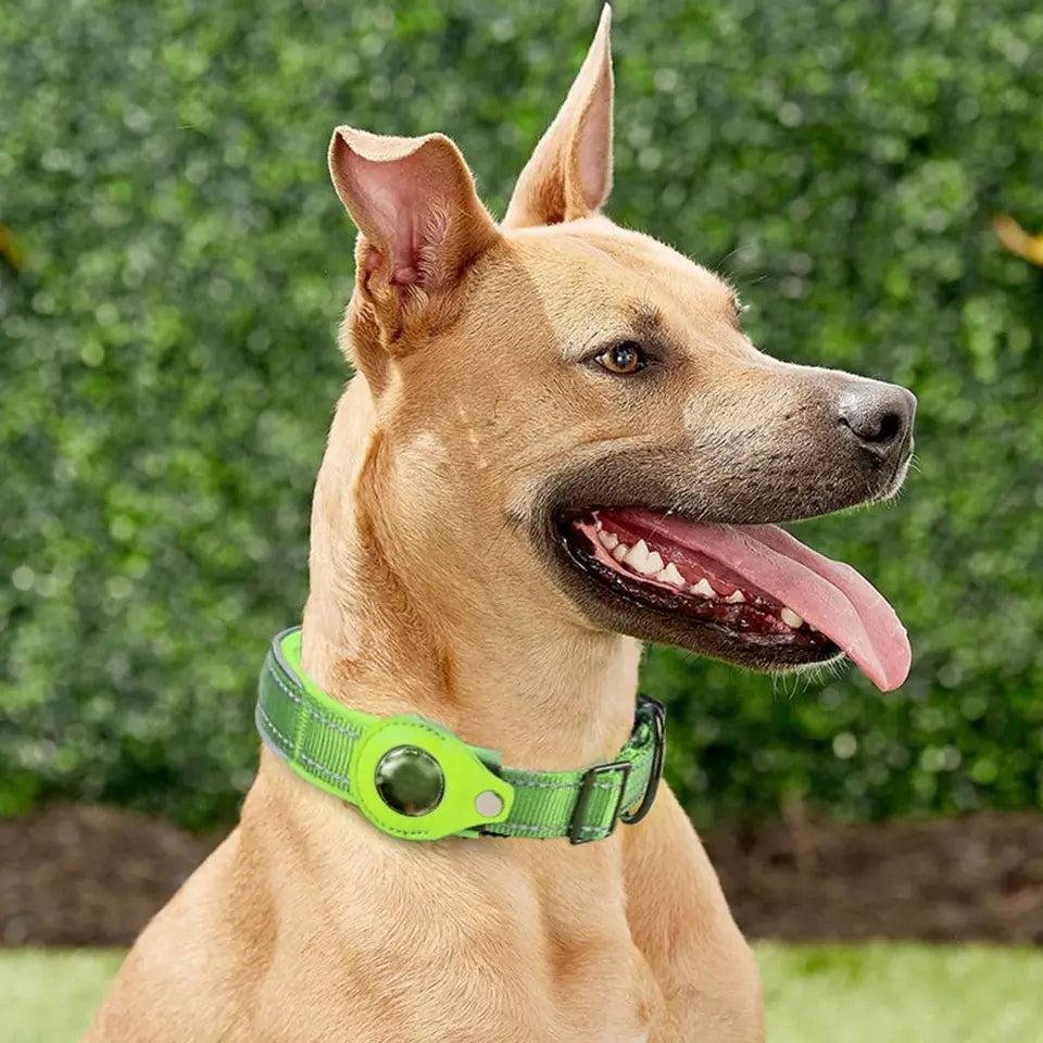 Pet GPS Tracker Collar
