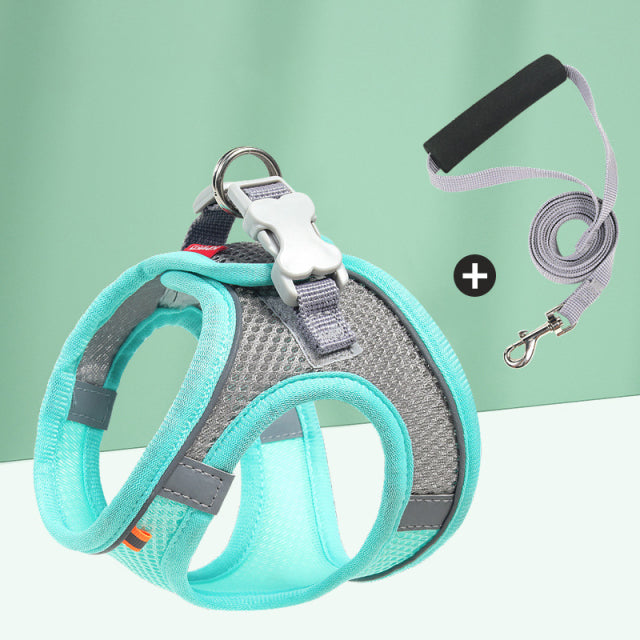 Lightning Bolt Small Harness