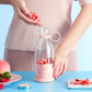 Mini Blender Bottle